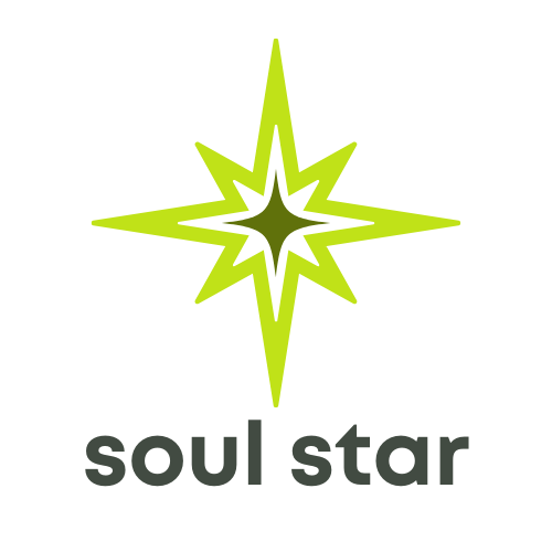 an icon of a starburst; soul star